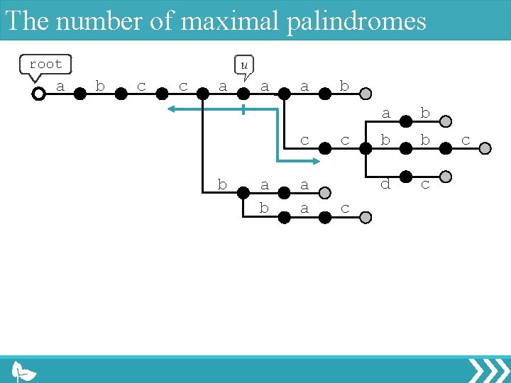 The number of maximal palindromes root a b c c a a a c