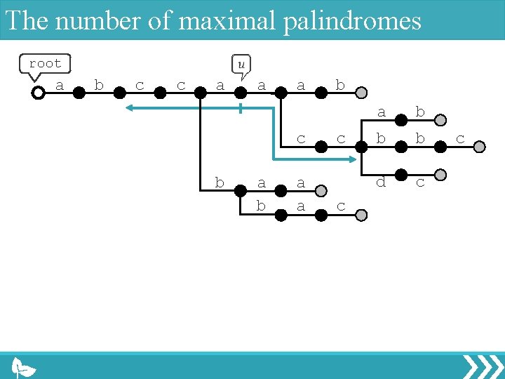 The number of maximal palindromes root a b c c a a a c