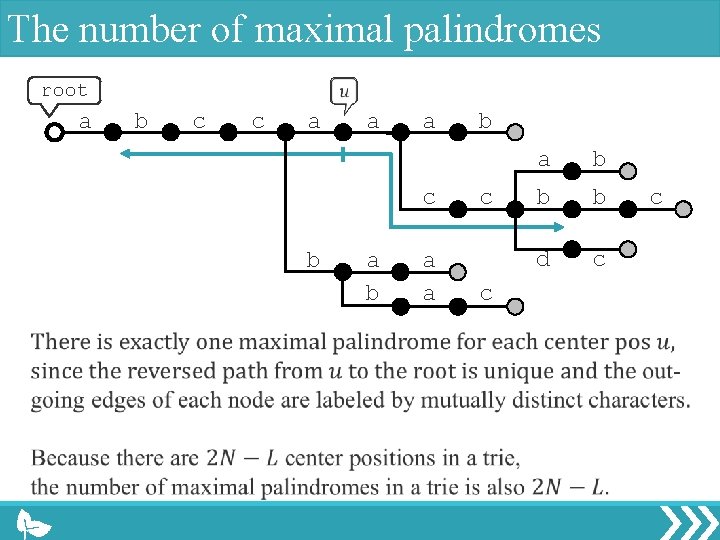 The number of maximal palindromes root a b c c a a a c