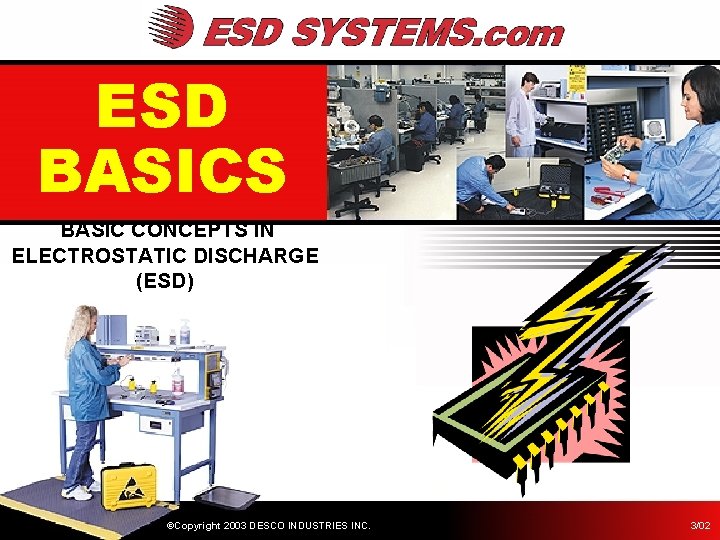 ESD BASICS BASIC CONCEPTS IN ELECTROSTATIC DISCHARGE (ESD) ©Copyright 2003 DESCO INDUSTRIES INC. 3/02