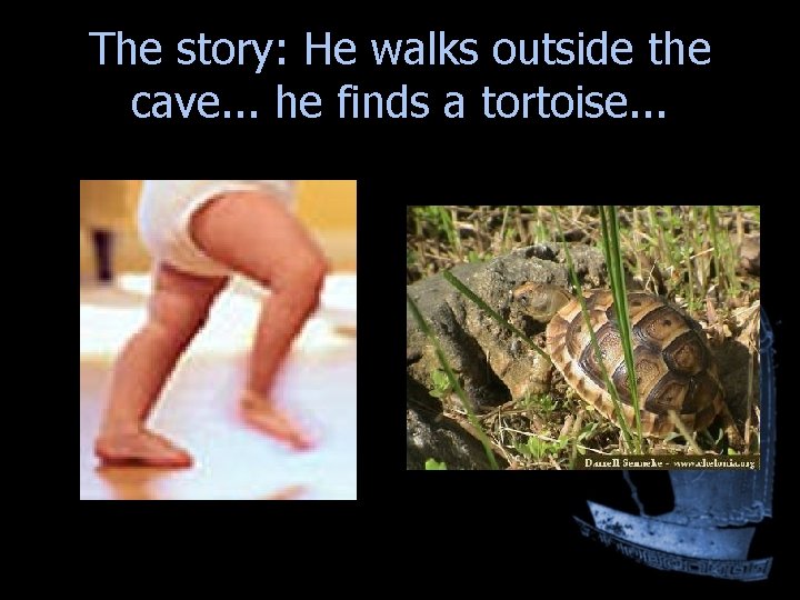 The story: He walks outside the cave. . . he finds a tortoise. . The story: He walks outside the cave. . . he finds a tortoise. .