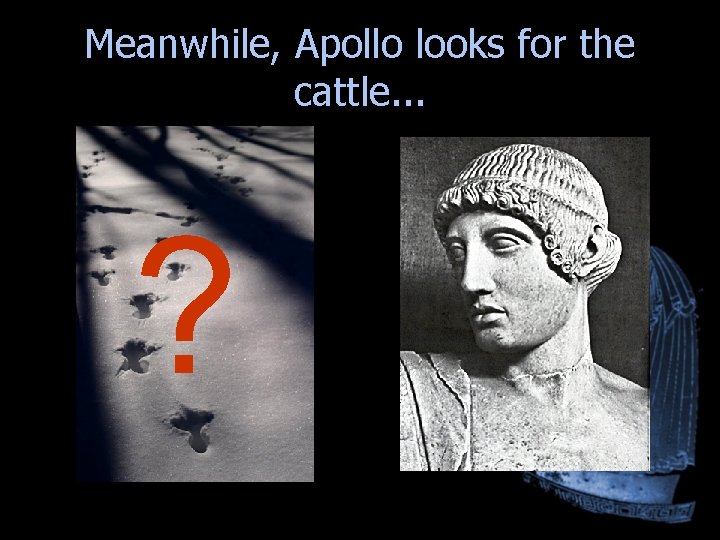 Meanwhile, Apollo looks for the cattle. . . ? Meanwhile, Apollo looks for the cattle. . . ?