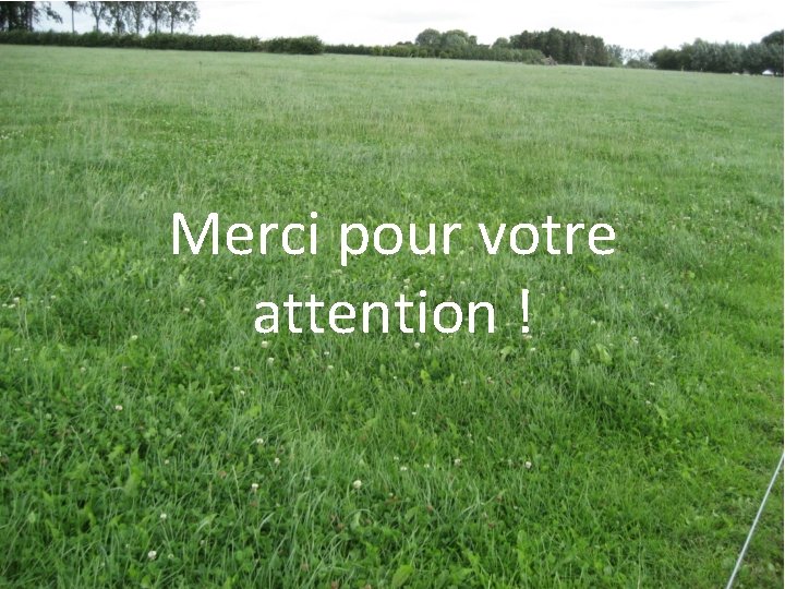 Merci pour votre attention ! 