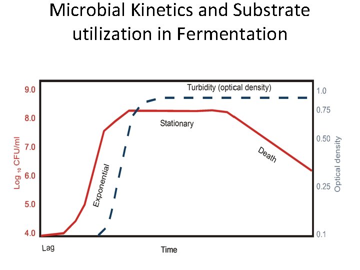 Microbial Kinetics and Substrate utilization in Fermentation 