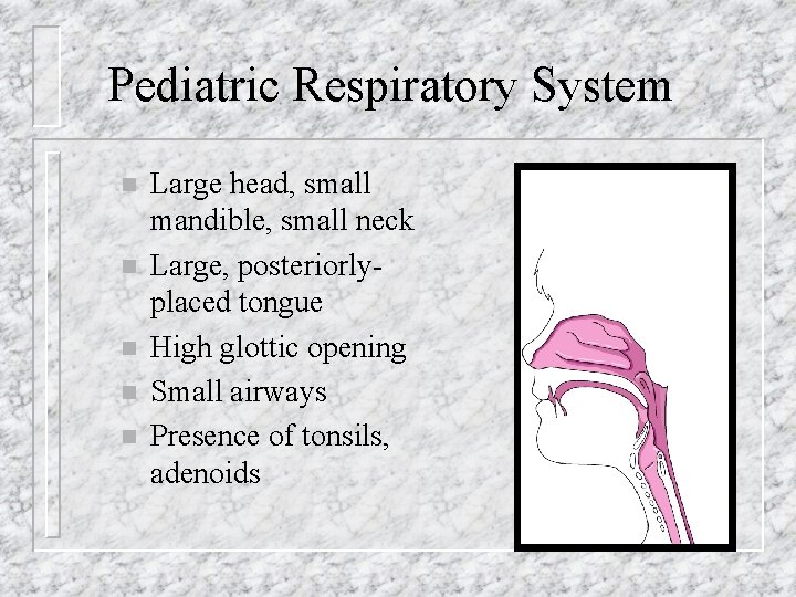 Pediatric Respiratory System n n n Large head, small mandible, small neck Large, posteriorlyplaced