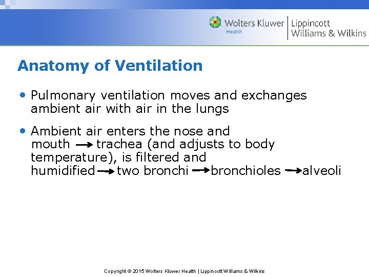 Anatomy of Ventilation • Pulmonary ventilation moves and exchanges ambient air with air in