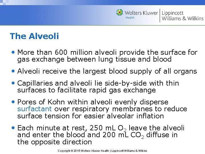 The Alveoli • More than 600 million alveoli provide the surface for gas exchange