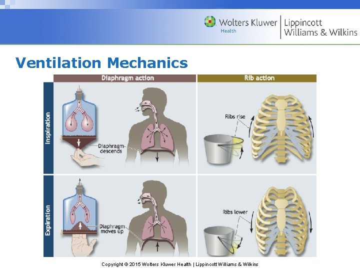 Ventilation Mechanics Copyright © 2015 Wolters Kluwer Health | Lippincott Williams & Wilkins 
