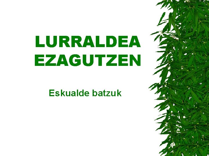 LURRALDEA EZAGUTZEN Eskualde batzuk 