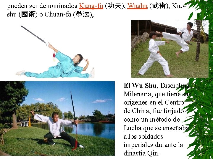 pueden ser denominados Kung-fu (功夫), Wushu (武術), Kuoshu (國術) o Chuan-fa (拳法), El Wu