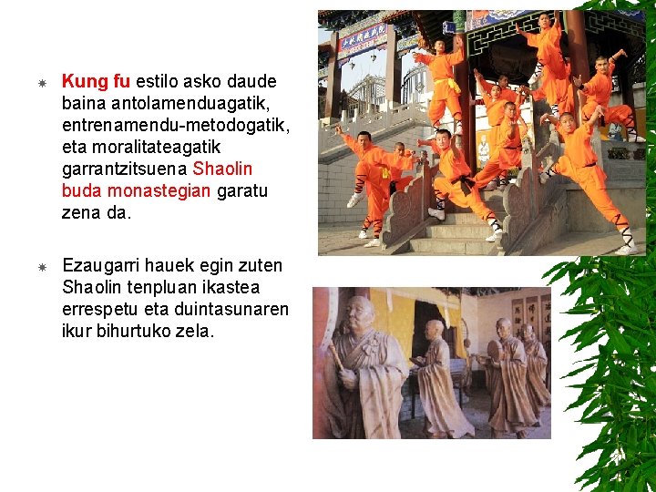  Kung fu estilo asko daude baina antolamenduagatik, entrenamendu-metodogatik, eta moralitateagatik garrantzitsuena Shaolin buda