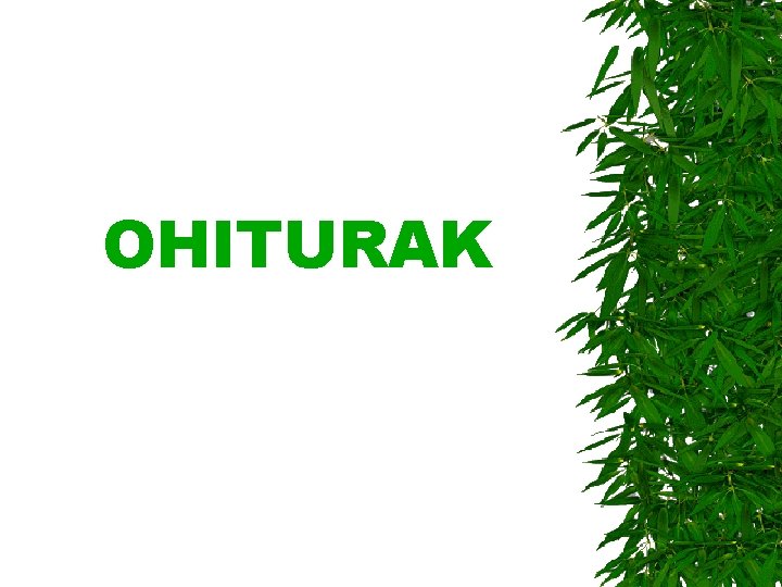 OHITURAK 