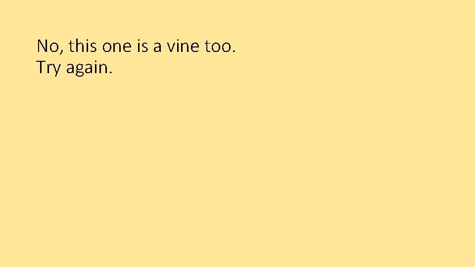 No, this one is a vine too. Try again. 
