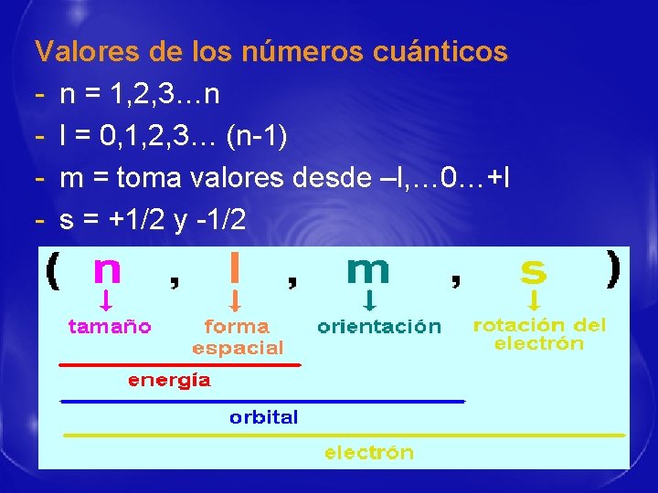 Valores de los números cuánticos - n = 1, 2, 3…n - l =