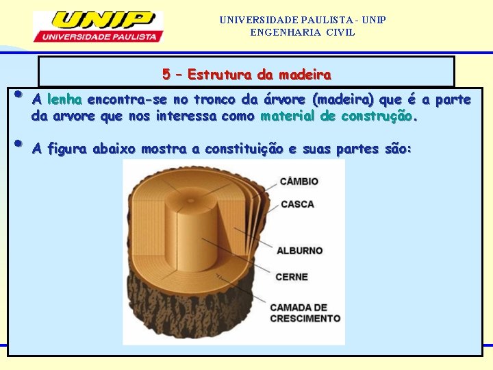 UNIVERSIDADE PAULISTA - UNIP ENGENHARIA CIVIL 5 – Estrutura da madeira • A lenha