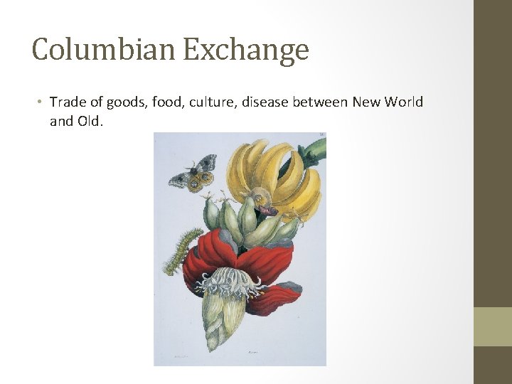 Columbian Exchange • Trade of goods, food, culture, disease between New World and Old.