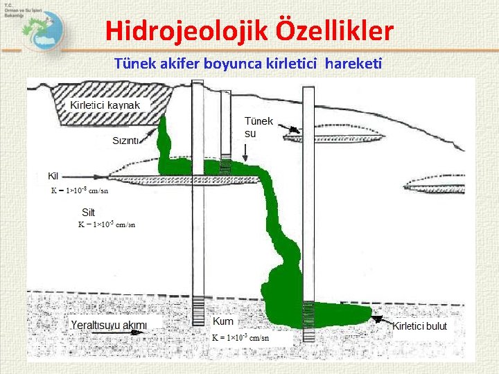 Hidrojeolojik Özellikler Tünek akifer boyunca kirletici hareketi 