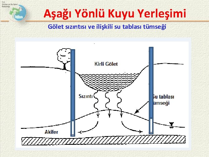 Aşağı Yönlü Kuyu Yerleşimi Gölet sızıntısı ve ilişkili su tablası tümseği 