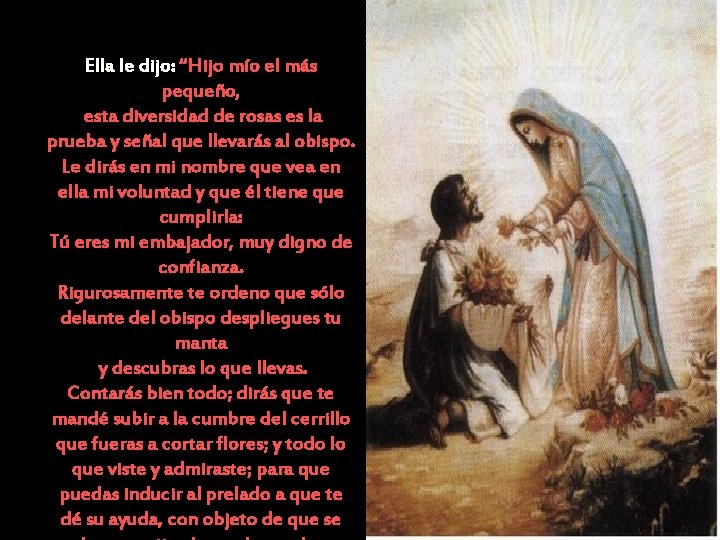 Ella le dijo: “Hijo mío el más pequeño, esta diversidad de rosas es la