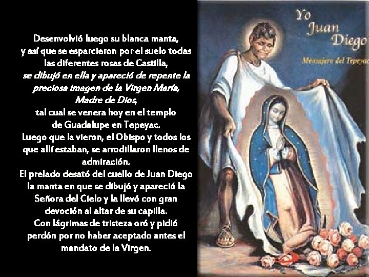 Desenvolvió luego su blanca manta, y así que se esparcieron por el suelo todas