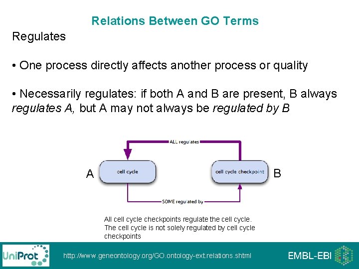 Relations Between GO Terms Regulates • One process directly affects another process or quality Relations Between GO Terms Regulates • One process directly affects another process or quality