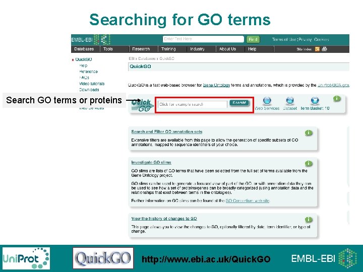 Searching for GO terms Search GO terms or proteins http: //www. ebi. ac. uk/Quick. Searching for GO terms Search GO terms or proteins http: //www. ebi. ac. uk/Quick.