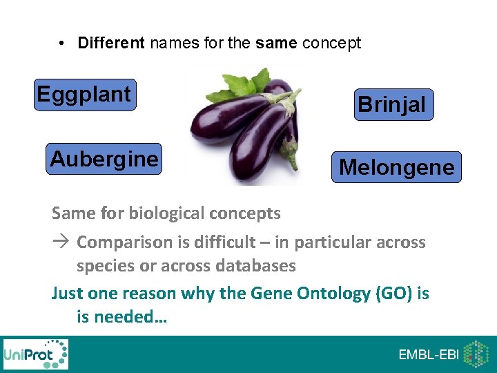 • Different names for the same concept Eggplant Aubergine Brinjal Melongene Same for • Different names for the same concept Eggplant Aubergine Brinjal Melongene Same for