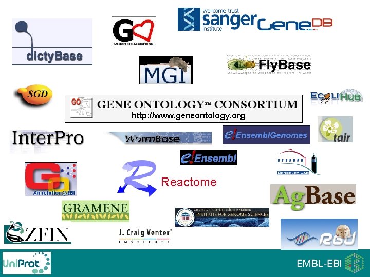 http: //www. geneontology. org Reactome http: //www. geneontology. org Reactome