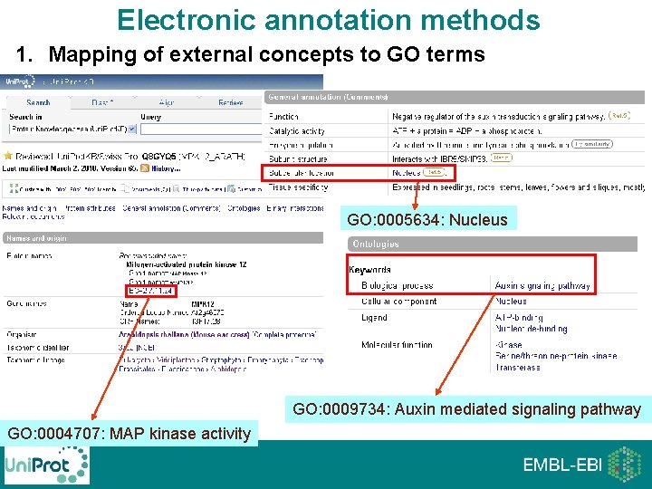 Electronic annotation methods 1. Mapping of external concepts to GO terms GO: 0005634: Nucleus Electronic annotation methods 1. Mapping of external concepts to GO terms GO: 0005634: Nucleus