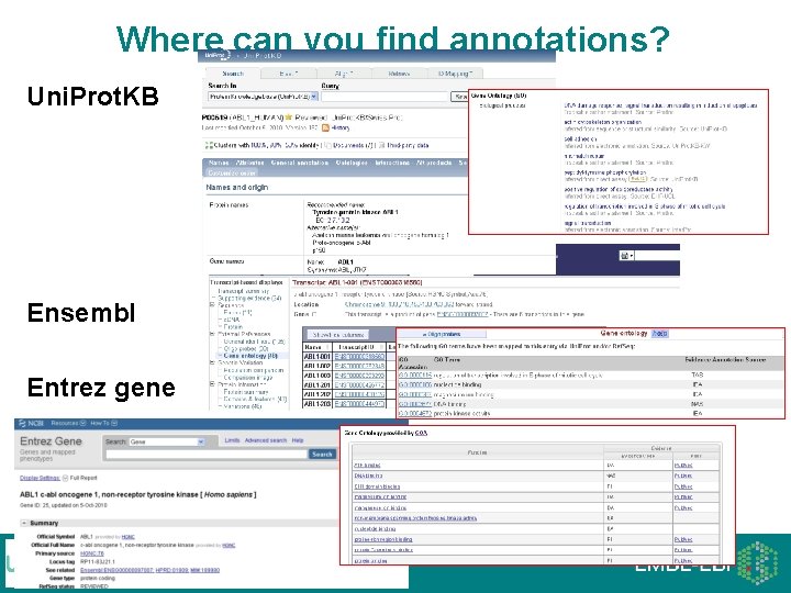 Where can you find annotations? Uni. Prot. KB Ensembl Entrez gene Where can you find annotations? Uni. Prot. KB Ensembl Entrez gene