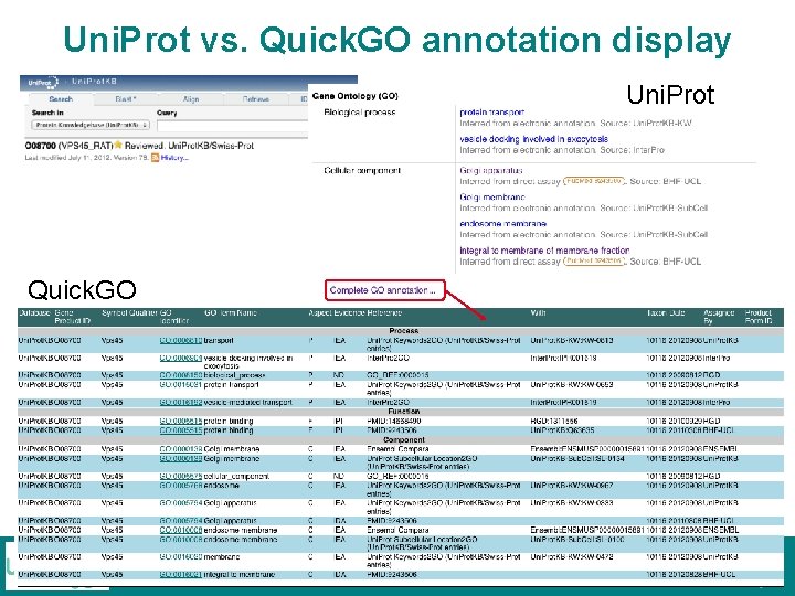 Uni. Prot vs. Quick. GO annotation display Uni. Prot Quick. GO Uni. Prot vs. Quick. GO annotation display Uni. Prot Quick. GO