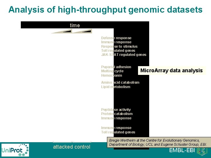Analysis of high-throughput genomic datasets time Defense response Immune response Response to stimulus Toll Analysis of high-throughput genomic datasets time Defense response Immune response Response to stimulus Toll