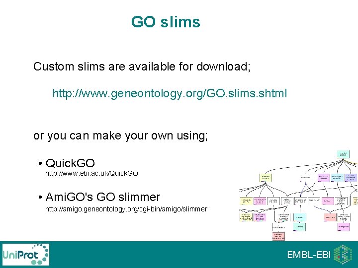 GO slims Custom slims are available for download; http: //www. geneontology. org/GO. slims. shtml GO slims Custom slims are available for download; http: //www. geneontology. org/GO. slims. shtml