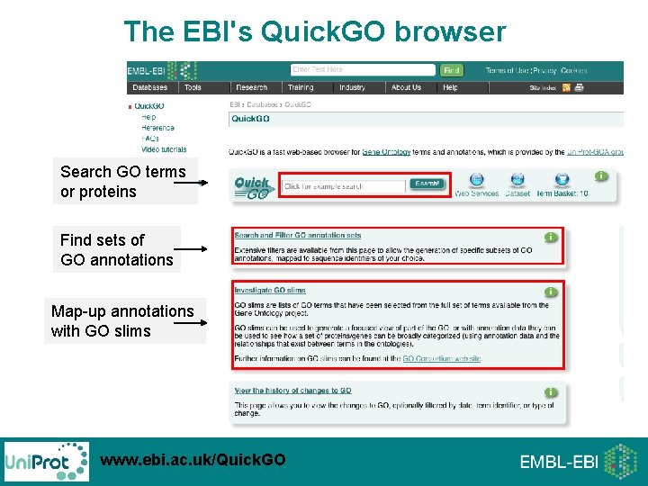 The EBI's Quick. GO browser Search GO terms or proteins Find sets of GO The EBI's Quick. GO browser Search GO terms or proteins Find sets of GO