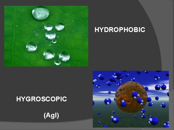 HYDROPHOBIC HYGROSCOPIC (Ag. I) 