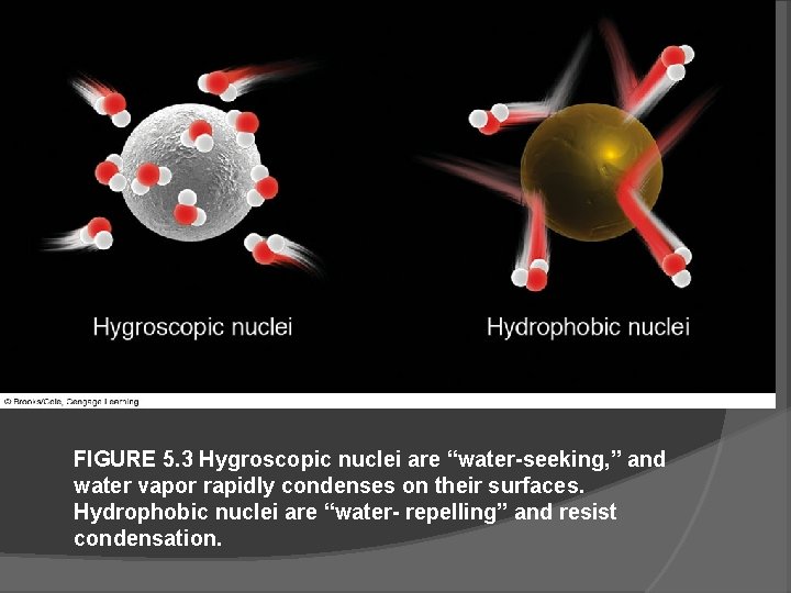 FIGURE 5. 3 Hygroscopic nuclei are “water-seeking, ” and water vapor rapidly condenses on