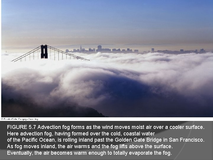 FIGURE 5. 7 Advection fog forms as the wind moves moist air over a