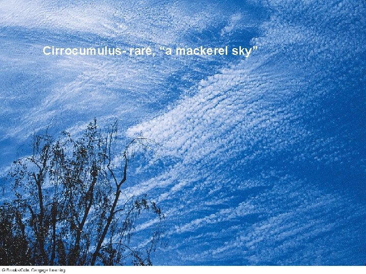 Cirrocumulus- rare, “a mackerel sky” 