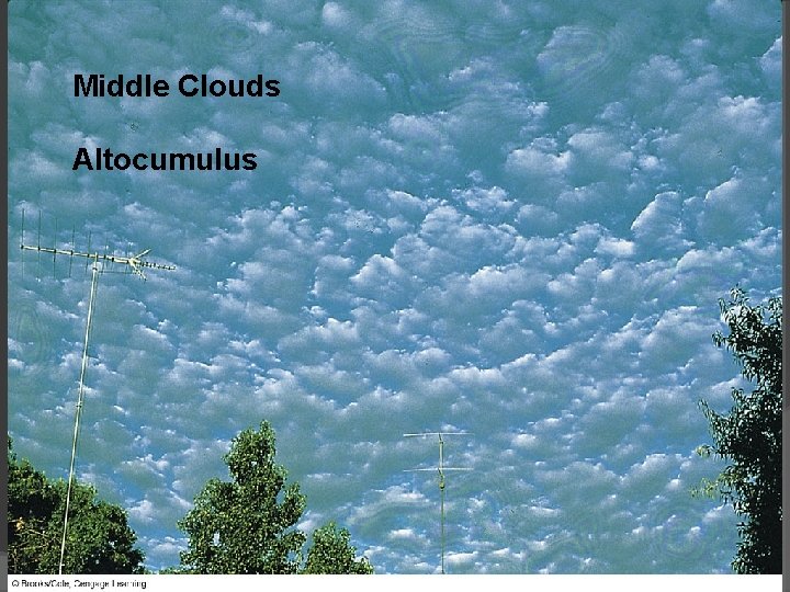 Middle Clouds Altocumulus 