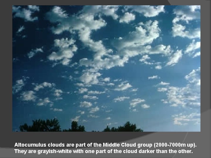 Altocumulus clouds are part of the Middle Cloud group (2000 -7000 m up). They