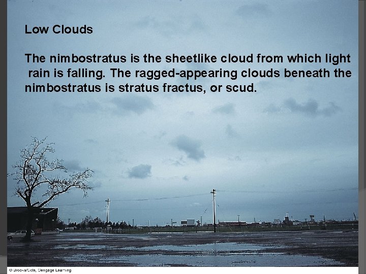 Low Clouds The nimbostratus is the sheetlike cloud from which light rain is falling.