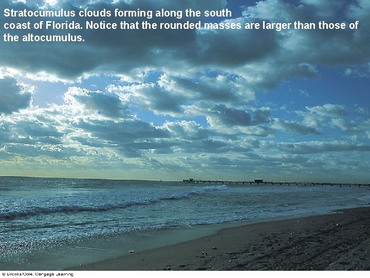 Stratocumulus clouds forming along the south coast of Florida. Notice that the rounded masses