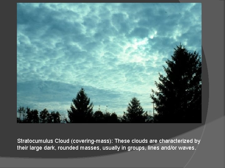 Stratocumulus Cloud (covering-mass): These clouds are characterized by their large dark, rounded masses, usually