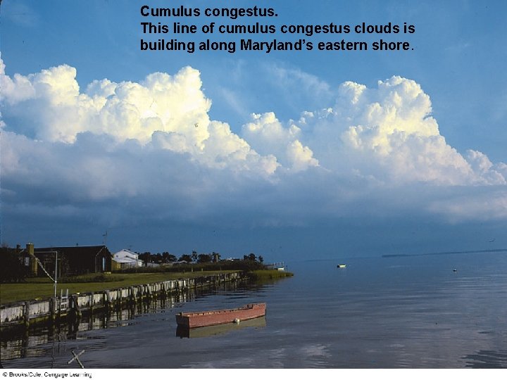 Cumulus congestus. This line of cumulus congestus clouds is building along Maryland’s eastern shore.