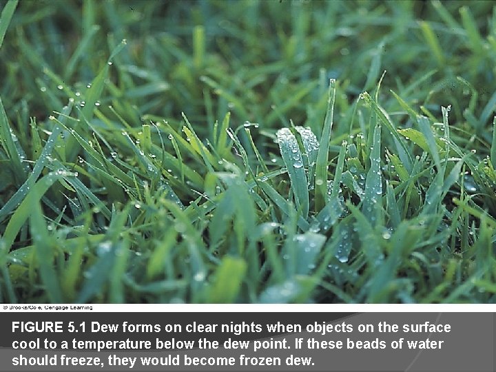 FIGURE 5. 1 Dew forms on clear nights when objects on the surface cool