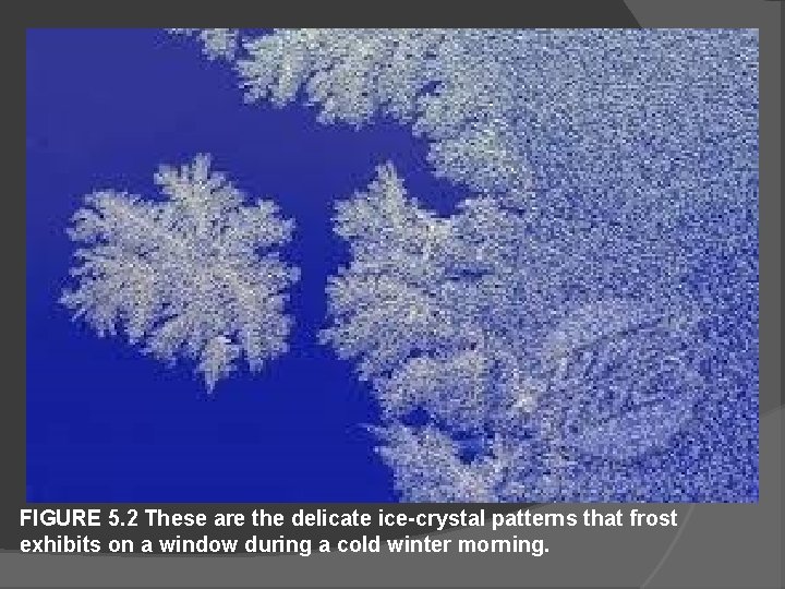 FIGURE 5. 2 These are the delicate ice-crystal patterns that frost exhibits on a