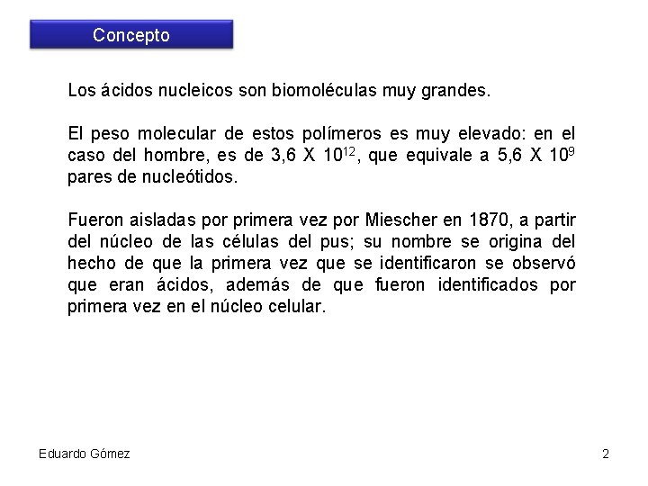 Concepto Los ácidos nucleicos son biomoléculas muy grandes. El peso molecular de estos polímeros