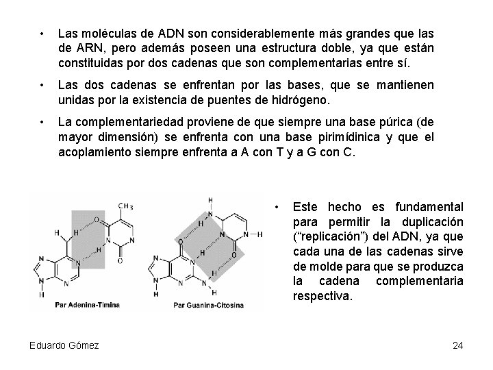  • Las moléculas de ADN son considerablemente más grandes que las de ARN,