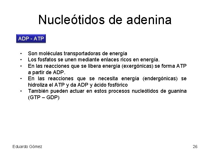 Nucleótidos de adenina ADP - ATP • • • Son moléculas transportadoras de energía