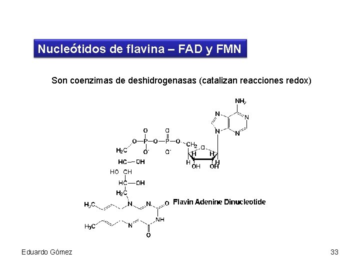 Nucleótidos de flavina – FAD y FMN Son coenzimas de deshidrogenasas (catalizan reacciones redox)